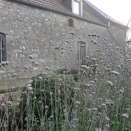 La Ferme Aux Oiseaux Pansiyon Beaumont