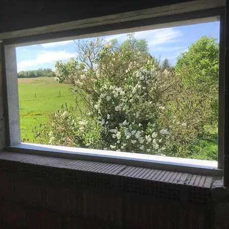 La Ferme Aux Oiseaux Pansiyon Beaumont