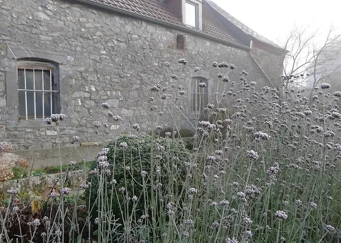 La Ferme Aux Oiseaux Pansiyon Beaumont