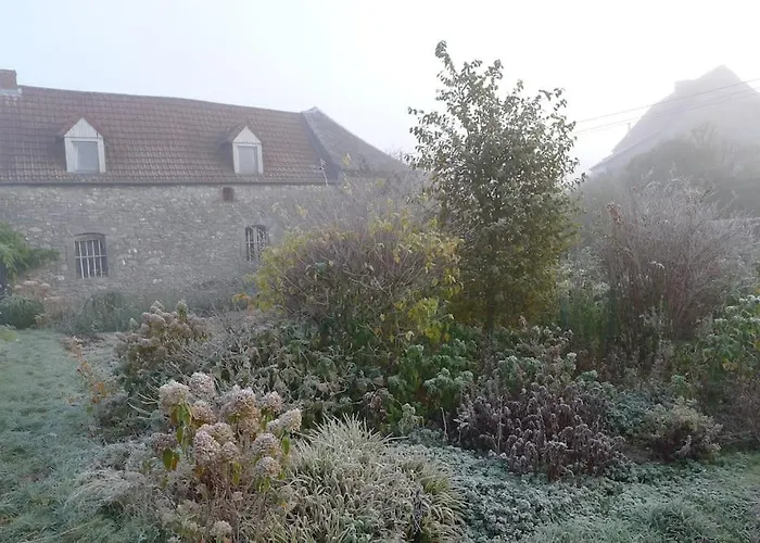 La Ferme Aux Oiseaux Homestay *