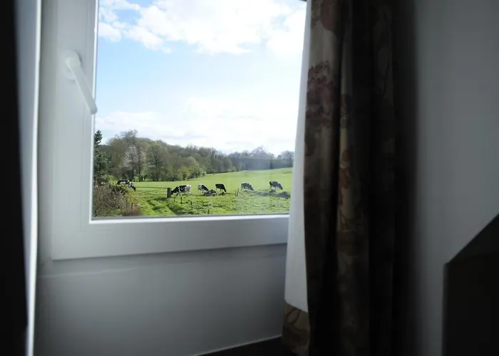 La Ferme Aux Oiseaux * Beaumont